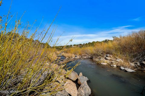 Tiny photo for 8286 Pinon Drive, Show Low, AZ 85901 (MLS # 259598)