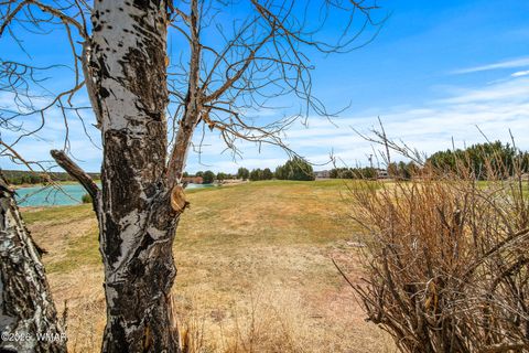 Tiny photo for 8286 Pinon Drive, Show Low, AZ 85901 (MLS # 259598)