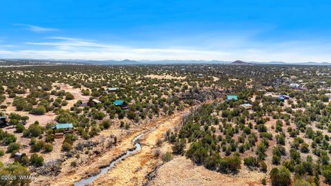 Tiny photo for 8286 Pinon Drive, Show Low, AZ 85901 (MLS # 259598)