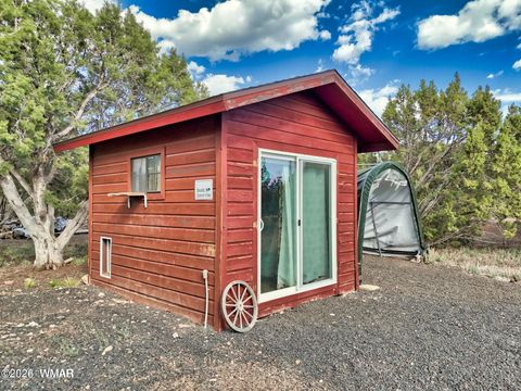 Tiny photo for 8286 Pinon Drive, Show Low, AZ 85901 (MLS # 259598)