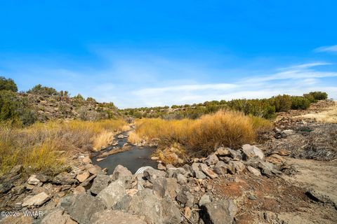 Tiny photo for 8286 Pinon Drive, Show Low, AZ 85901 (MLS # 259598)