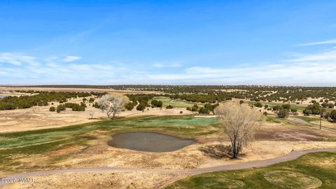 Tiny photo for 8286 Pinon Drive, Show Low, AZ 85901 (MLS # 259598)