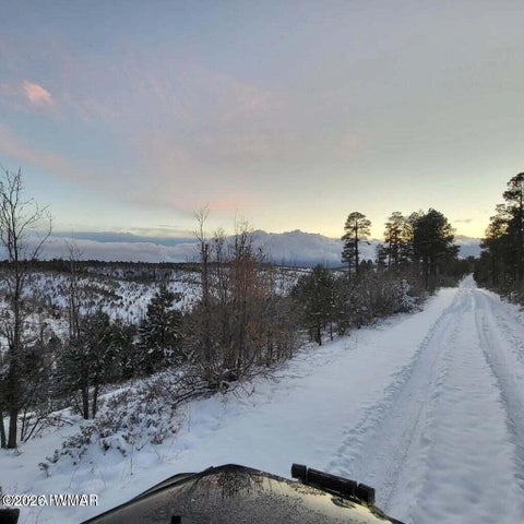 Tiny photo for 3834 Serra Way, Heber, AZ 85928 (MLS # 262893)