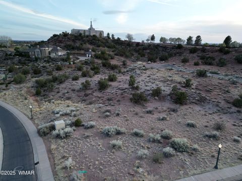Tiny photo for Lot 27 Temple Cir, Snowflake, AZ 85937 (MLS # 255203)