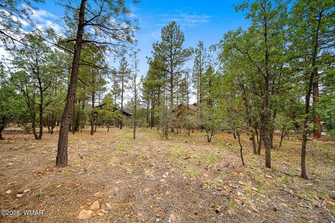 Photo of 3331 W Tobasa Lane, Show Low, AZ 85901 (MLS # 257910)