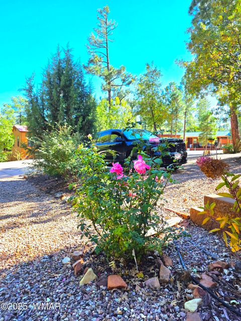Tiny photo for 4020 S Elk Trot Loop, Show Low, AZ 85901 (MLS # 258516)
