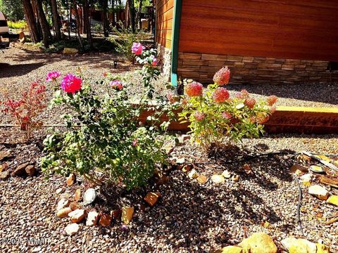 Tiny photo for 4020 S Elk Trot Loop, Show Low, AZ 85901 (MLS # 258516)