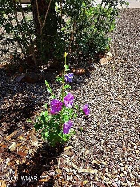 Tiny photo for 4020 S Elk Trot Loop, Show Low, AZ 85901 (MLS # 258516)