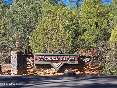 Tiny photo for 4020 S Elk Trot Loop, Show Low, AZ 85901 (MLS # 258516)