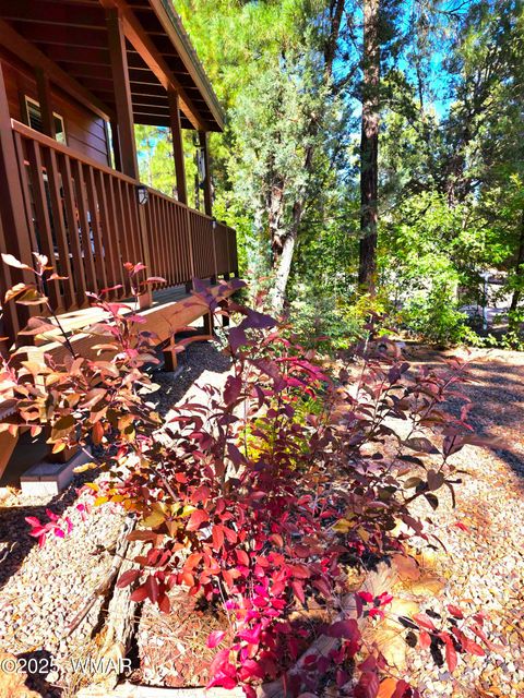 Tiny photo for 4020 S Elk Trot Loop, Show Low, AZ 85901 (MLS # 258516)