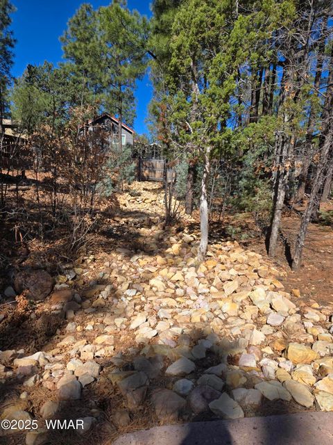 Tiny photo for 4020 S Elk Trot Loop, Show Low, AZ 85901 (MLS # 258516)