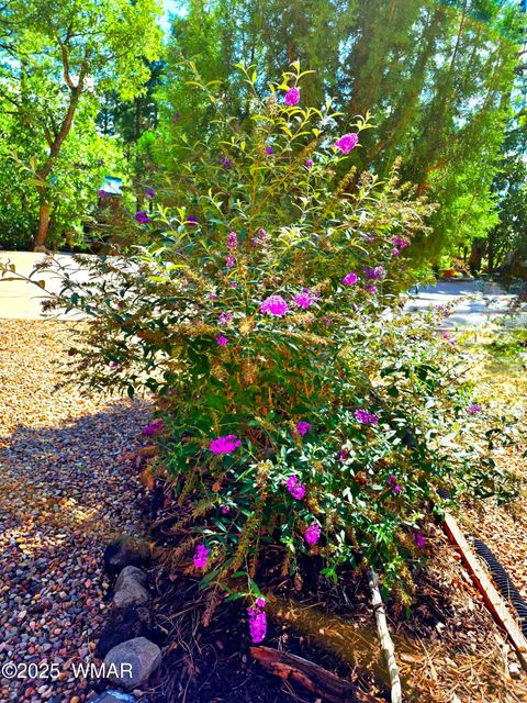 Tiny photo for 4020 S Elk Trot Loop, Show Low, AZ 85901 (MLS # 258516)