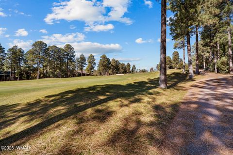 Tiny photo for 1520 S Little Leaf Lane, Show Low, AZ 85901 (MLS # 260628)