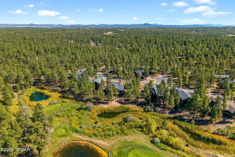 Tiny photo for 490 S Rockcress Lane, Show Low, AZ 85901 (MLS # 261239)