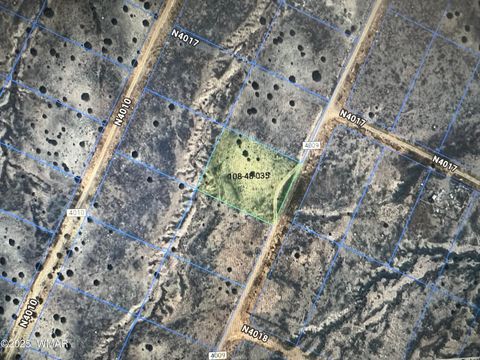 Photo of Lot 19 County Road N4009, Saint Johns, AZ 85936 (MLS # 258651)