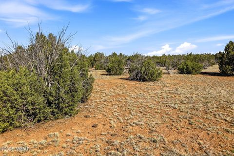 Tiny photo for 8664 Sequoia Place, Show Low, AZ 85901 (MLS # 260320)