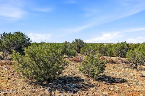 Tiny photo for 8664 Sequoia Place, Show Low, AZ 85901 (MLS # 260320)