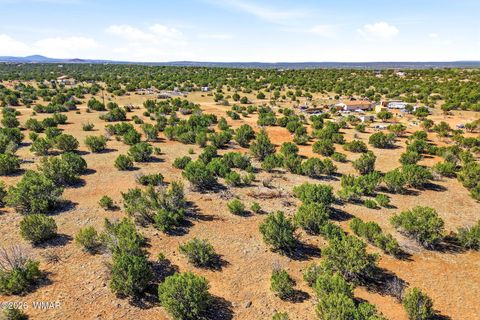 Tiny photo for 8664 Sequoia Place, Show Low, AZ 85901 (MLS # 260320)