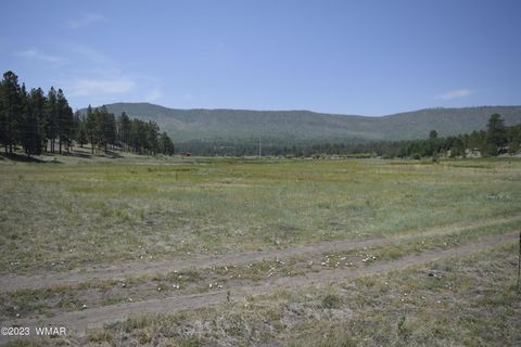 Tiny photo for TBD CR 2275 1.22 Acre, Nutrioso, AZ 85932 (MLS # 248078)