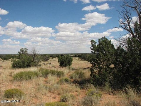 Tiny photo for 985 Ellsworth Drive, Heber, AZ 85928 (MLS # 262958)