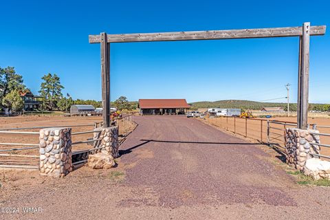 Photo of 1023 Casper Lane, Show Low, AZ 85901 (MLS # 253531)