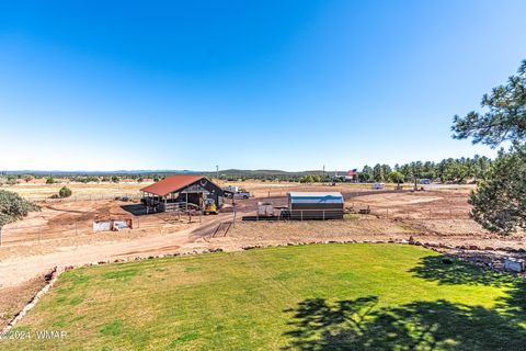 Tiny photo for 1023 Casper Lane, Show Low, AZ 85901 (MLS # 253531)