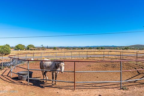 Tiny photo for 1023 Casper Lane, Show Low, AZ 85901 (MLS # 253531)
