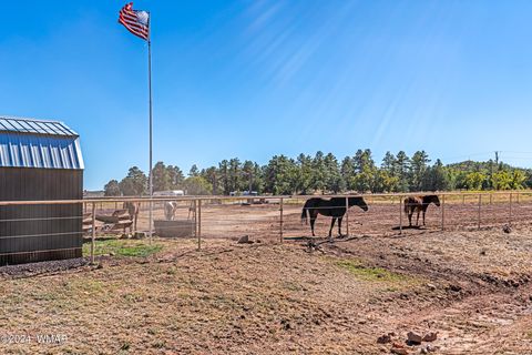 Tiny photo for 1023 Casper Lane, Show Low, AZ 85901 (MLS # 253531)
