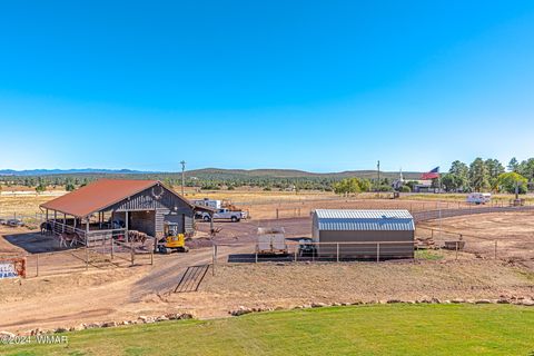 Tiny photo for 1023 Casper Lane, Show Low, AZ 85901 (MLS # 253531)