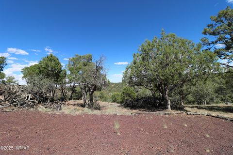Tiny photo for 5287 Alserita Rd Road, Show Low, AZ 85934 (MLS # 257938)