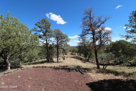 Tiny photo for 5287 Alserita Rd Road, Show Low, AZ 85934 (MLS # 257938)