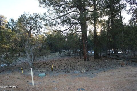 Tiny photo for 4610 W Hawthorn Road, Show Low, AZ 85901 (MLS # 259388)