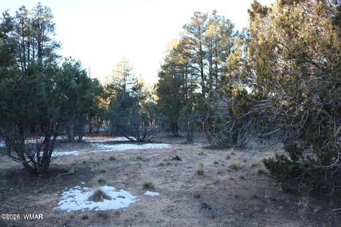Tiny photo for 4610 W Hawthorn Road, Show Low, AZ 85901 (MLS # 259388)