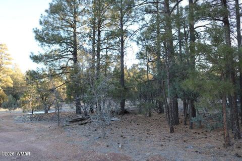 Tiny photo for 4610 W Hawthorn Road, Show Low, AZ 85901 (MLS # 259388)