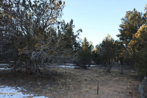 Tiny photo for 4610 W Hawthorn Road, Show Low, AZ 85901 (MLS # 259388)