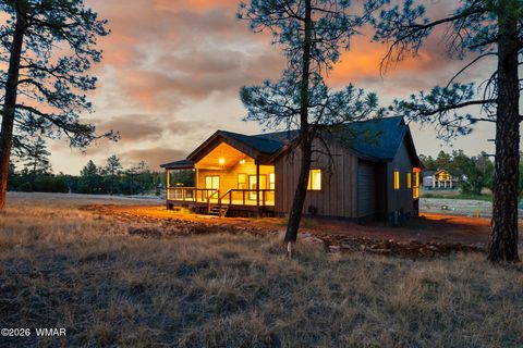 Tiny photo for 1380 S Lakeside Trail, Show Low, AZ 85901 (MLS # 259550)