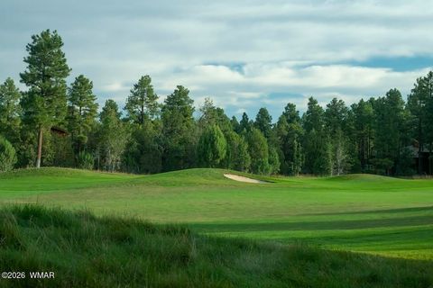 Tiny photo for 1380 S Lakeside Trail, Show Low, AZ 85901 (MLS # 259550)