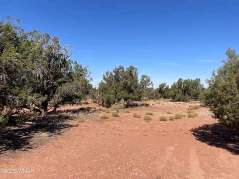Tiny photo for 8561 E Concho Highway, Snowflake, AZ 85937 (MLS # 257905)