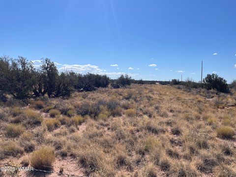 Photo of 8561 E Concho Highway, Snowflake, AZ 85937 (MLS # 257905)