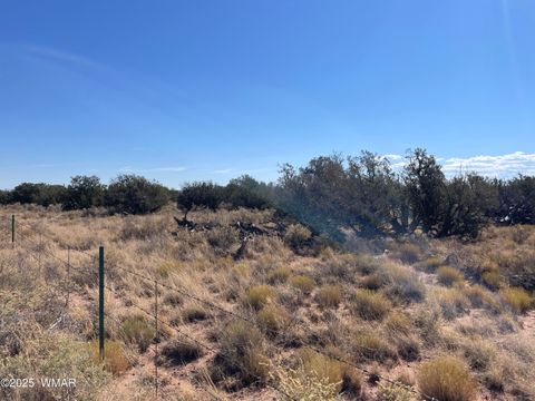 Tiny photo for 8561 E Concho Highway, Snowflake, AZ 85937 (MLS # 257905)