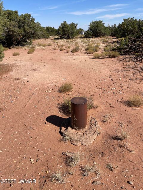 Tiny photo for 8561 E Concho Highway, Snowflake, AZ 85937 (MLS # 257905)