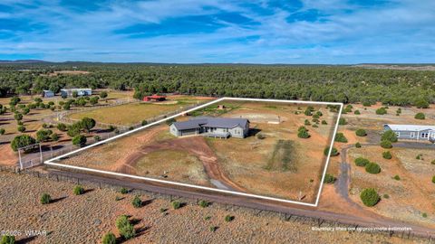 Tiny photo for 1866 Simpson Well Road, Show Low, AZ 85901 (MLS # 260174)