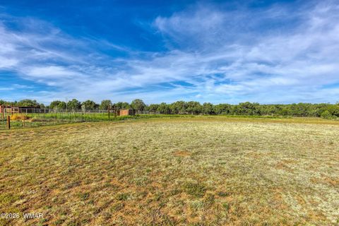 Tiny photo for 1866 Simpson Well Road, Show Low, AZ 85901 (MLS # 260174)
