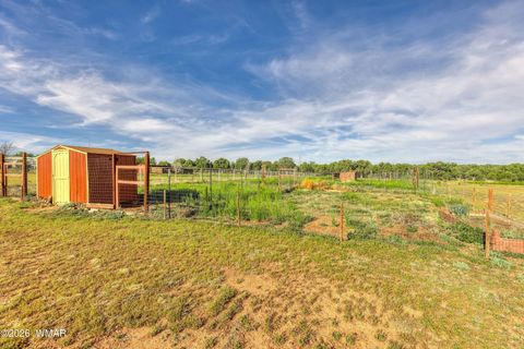 Tiny photo for 1866 Simpson Well Road, Show Low, AZ 85901 (MLS # 260174)