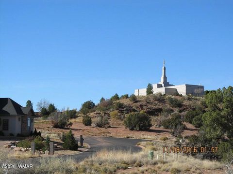Tiny photo for 1479 W Tumbleweed Trail, Snowflake, AZ 85937 (MLS # 254363)