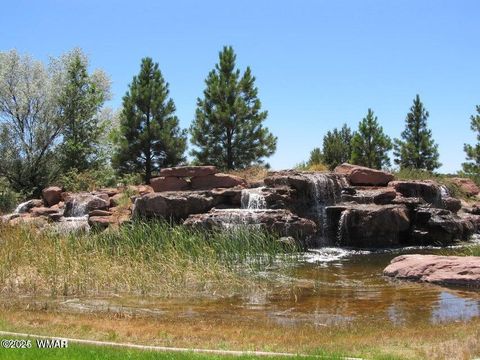Tiny photo for 1479 W Tumbleweed Trail, Snowflake, AZ 85937 (MLS # 254363)
