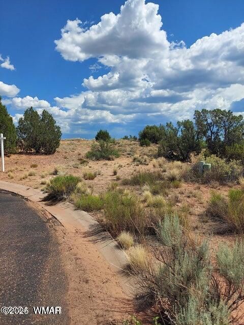Tiny photo for 1479 W Tumbleweed Trail, Snowflake, AZ 85937 (MLS # 254363)