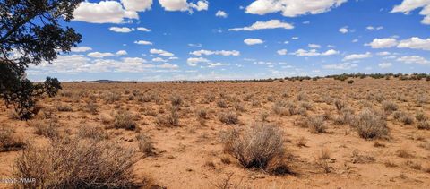 Tiny photo for 006S Willis Ranch Ln, Snowflake, AZ 85937 (MLS # 257901)