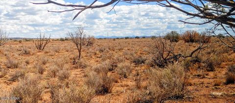 Photo of 006S Willis Ranch Ln, Snowflake, AZ 85937 (MLS # 257901)