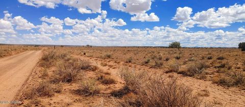 Tiny photo for 006S Willis Ranch Ln, Snowflake, AZ 85937 (MLS # 257901)